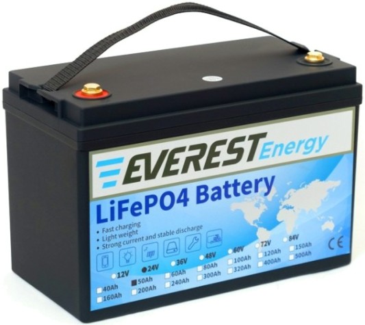 Аккумуляторная батарея EVEREST Energy LFP-24-50