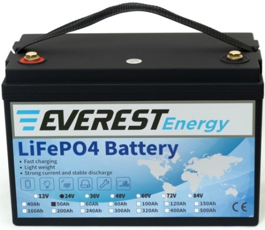 Аккумуляторная батарея EVEREST Energy LFP-24-50