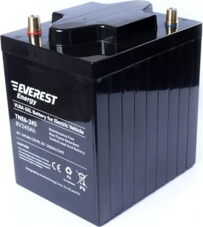 Аккумуляторная батарея EVEREST Energy TNE 6-245 Аккумуляторная батарея EVEREST Energy TNE 6-245
