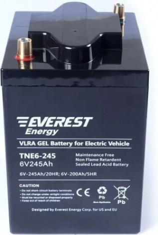 Аккумуляторная батарея EVEREST Energy TNE 6-270