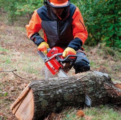 Бензопила EFCO MT 6500 [50259002E1]