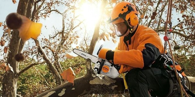 Бензопила STIHL MS 150-30 TC-E [11462000043]
