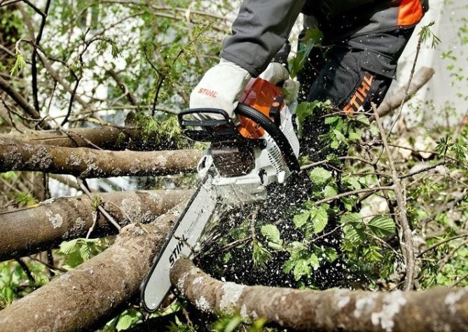 Бензопила STIHL MS 261-37 [11412000502]