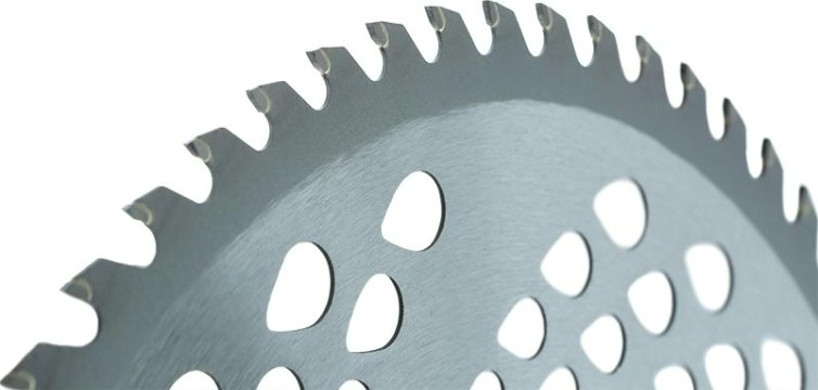 Диск кустореза Sturm BT8952D-1001 255ммx25, 4x80, с твердосплавными напайками Диск кустореза Sturm BT8952D-1001 255ммx25, 4x80, с твердосплавными напайками