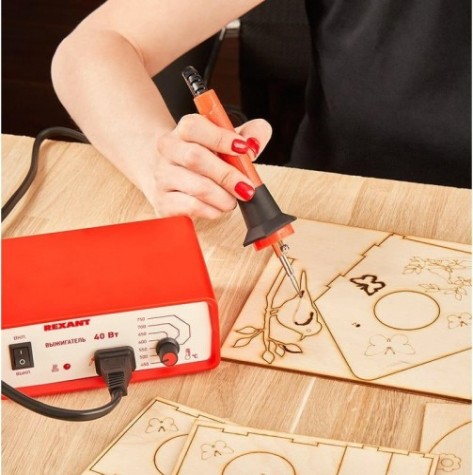 Доска для выжигания REXANT ДВ0934 «кормушка для птиц», 3d модель, 1 шт. [12-0934]