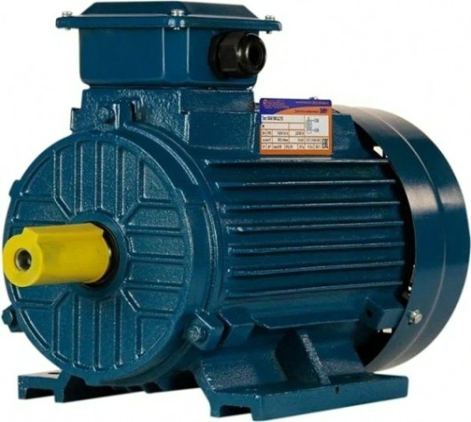 Электродвигатель 5Аи 100 L2 5.5/3000 IM 1081 [01.01.213567]