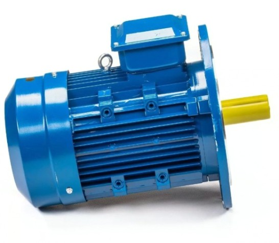 Электродвигатель 5Аи 100 L2 5.5/3000 IM 3081 [01.01.213679]