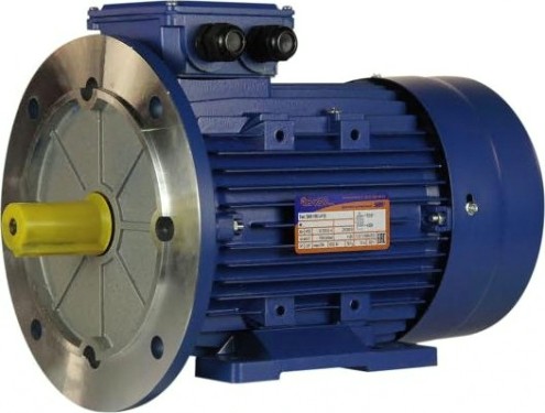 Электродвигатель 5Аи 100 L4 4/1500 IM 2081 [01.01.213681]