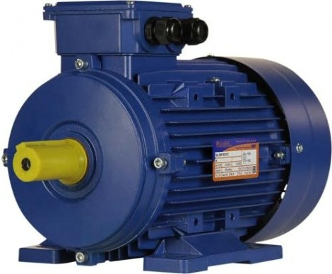 Электродвигатель 5Аи 100 L6 2.2/1000 IM 1081 [01.01.213619]