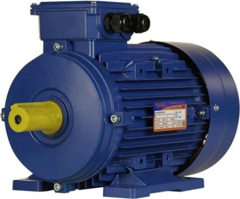 Электродвигатель 5Аи 100 S4 3/1500 IM 1081 [01.01.213667]