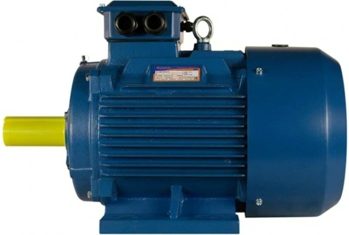 Электродвигатель 5Аи 160 М4 18.5/1500 IM 1001 [01.01.213698]
