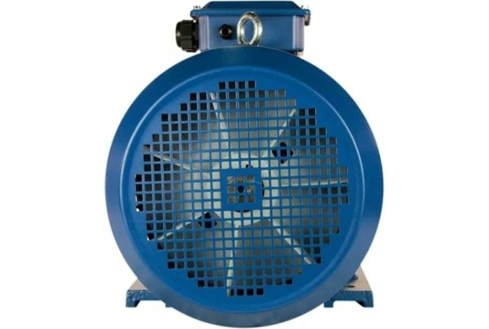 Электродвигатель 5Аи 160 М4 18.5/1500 IM 1001 [01.01.213698]