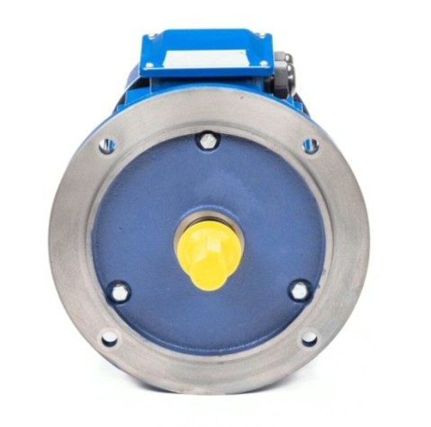 Электродвигатель 5Аи 160 S4 15/1500 IM 2001 [01.01.213689]