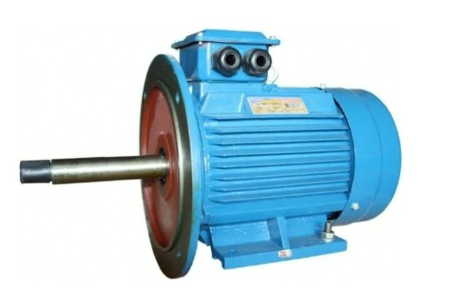 Электродвигатель 5Аи 180 М2Ж 30/3000 IM 2009 [01.01.213465]