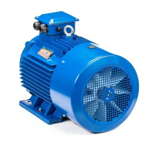 Электродвигатель 5Аи 180 S4 22/1500 IM 1001 [01.01.213695]
