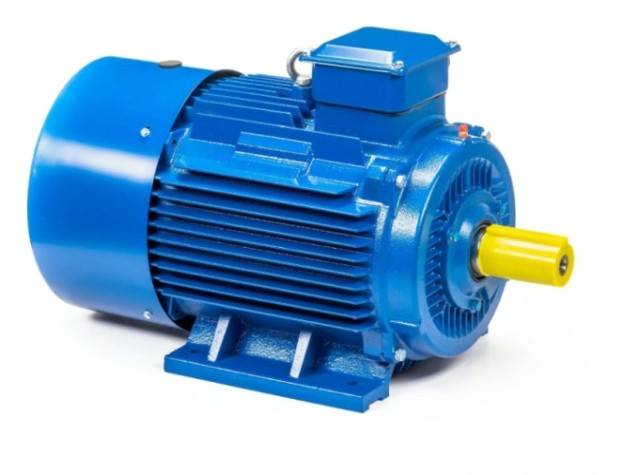 Электродвигатель 5Аи 200 L4 45/1500 IM 1001 [01.01.213645]