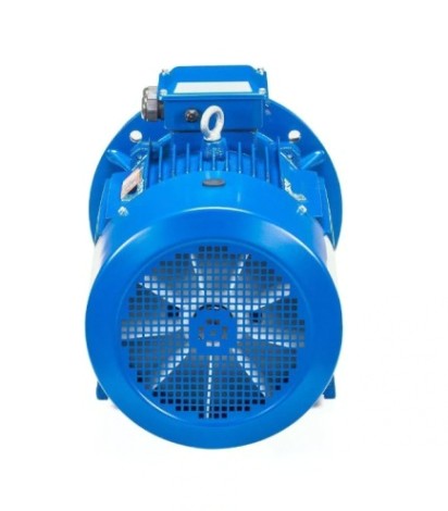 Электродвигатель 5Аи 200 L4 45/1500 IM 2001 [01.01.213647]