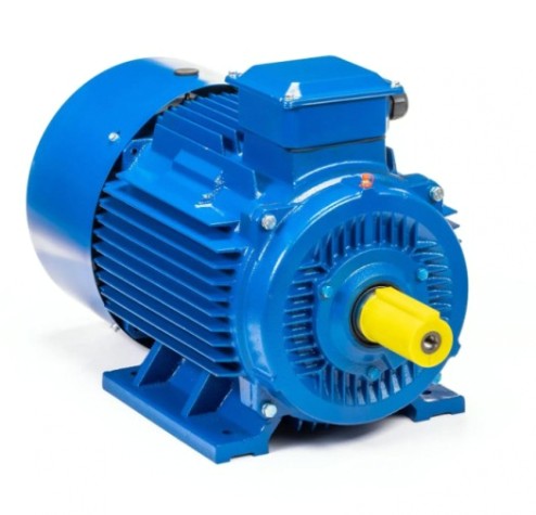 Электродвигатель 5Аи 200 L6 30/1000 IM 1001 [01.01.213649]