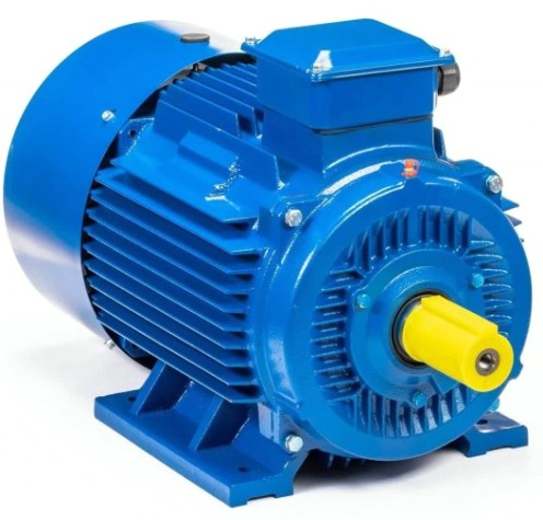 Электродвигатель 5Аи 250 М6 55/1000 IM 1001 [01.01.213758]