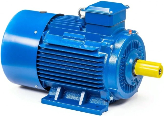 Электродвигатель 5Аи 250 М6 55/1000 IM 1001 [01.01.213758]