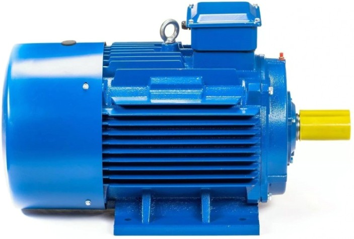 Электродвигатель 5Аи 250 М6 55/1000 IM 1001 [01.01.213758]