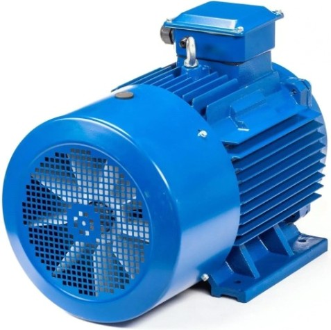 Электродвигатель 5Аи 250 М6 55/1000 IM 1001 [01.01.213758]