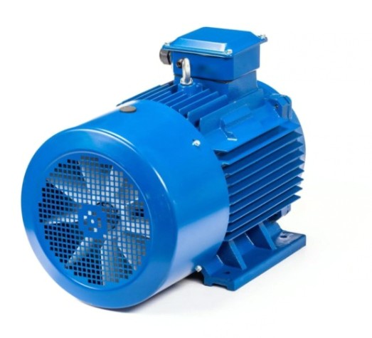 Электродвигатель 5Аи 250 S2 76/3000 IM 1001 [01.01.220399]