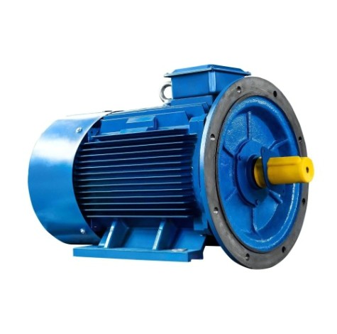 Электродвигатель 5Аи 280 S4 110/1500 IM 2001 [01.01.214242]