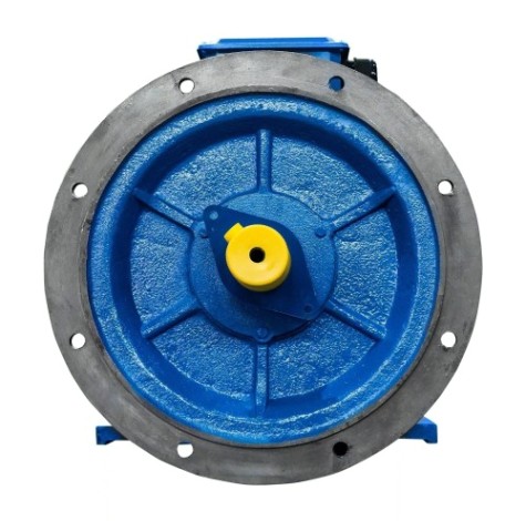 Электродвигатель 5Аи 280 S4 110/1500 IM 2001 [01.01.214242]