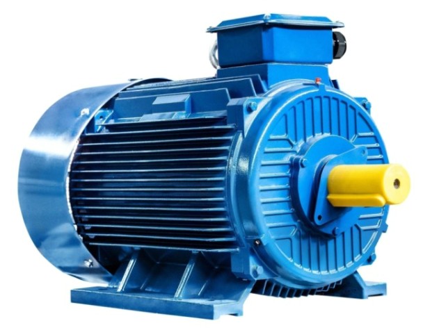 Электродвигатель 5Аи 315 М4 200/1500 IM 1001 [01.01.213492]