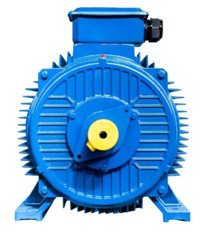 Электродвигатель 5Аи 315 М4 200/1500 IM 1001 [01.01.213492]