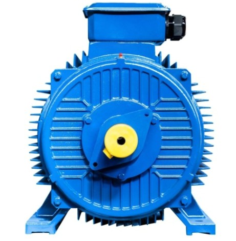 Электродвигатель 5Аи 315 М4 200/1500 IM 1001 [01.01.213492]