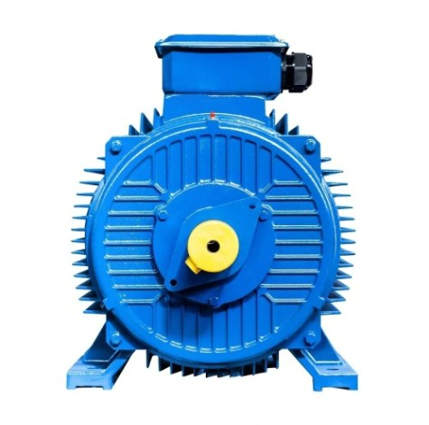 Электродвигатель 5Аи 355 MLB8 250/750 IM 1001 [01.01.221061]