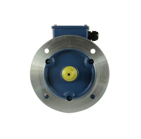 Электродвигатель 5Аи 63 В2 0.55/3000 IM 2081 [01.01.213528]