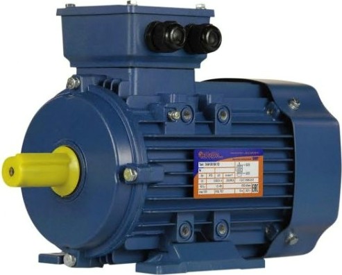 Электродвигатель 5Аи 80 А6 0.75/1000 IM 1081 [01.01.213542]