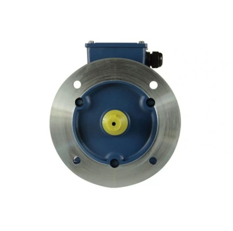 Электродвигатель 5Аи 90 L2 FT115 3/3000 IM 2181 [01.01.221508]