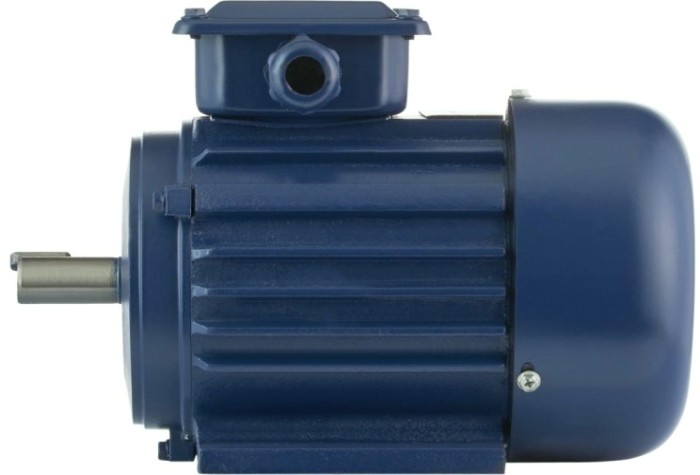 Электродвигатель БЭЗ АИР 56B2 IM1081 [33250]
