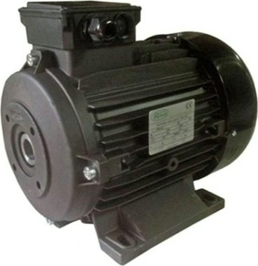 Электродвигатель RAVEL H100 4,0 кВт, полый вал - 24 мм [1835A]