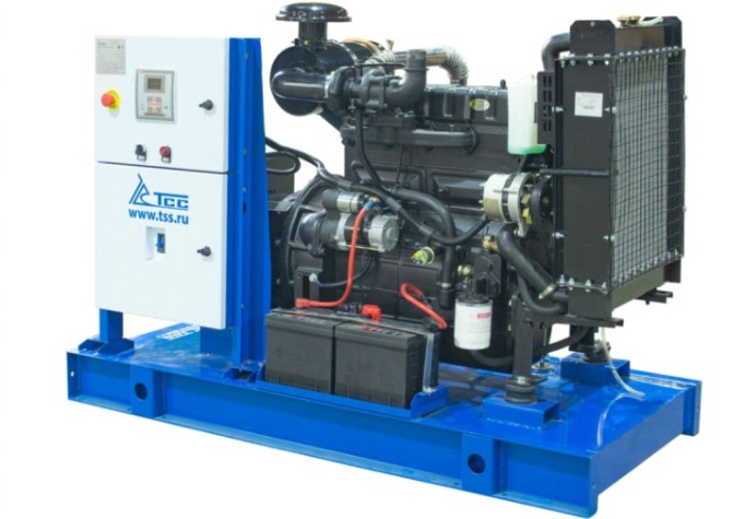 Электростанция дизельная ТСС АД- 16C-T400-1PM5 (TQC 22TS) открытая [039117]