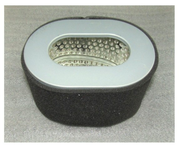 Фильтр воздушный ТСС (элемент овал) SDG 8000 Shark 1100FE / Air filter element Shark 1100FE [040540]