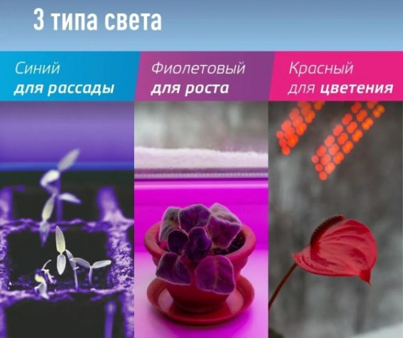 Фитосветильник КОСМОС DESKGX6319 настольный 3 спектра излучения. 14Вт, 5В 2А [КОС_DESKGX6319]