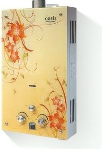 Газовая колонка OASIS 20 BG/TUR [4670004378991]