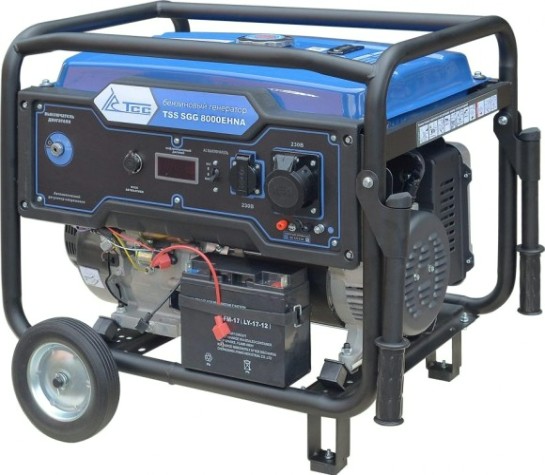 Генератор бензиновый ТСС SGG 8000 EHNA [160014]
