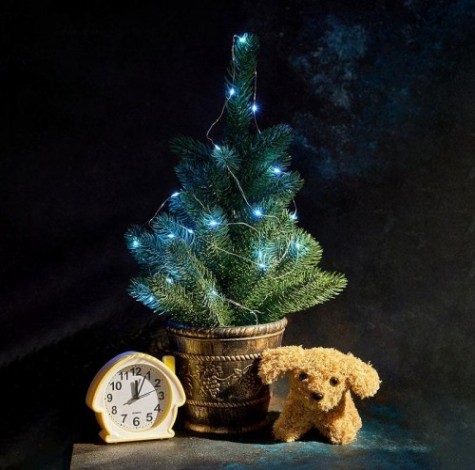 Гирлянда Neon-Night РОСА 2м 20 LED бирюзовые (2*CR2032 в комплекте) [303-004]