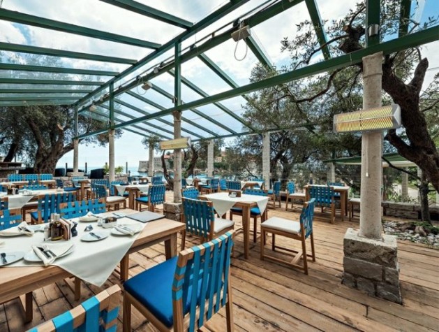 Инфракрасный обогреватель электрический BALLU BIH-LW2-1.5 ламповый [НС-1173718]