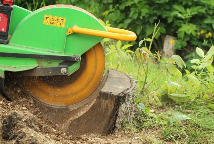 Измельчитель пней LASKI F 460E/27 Измельчитель пней LASKI F 460E/27