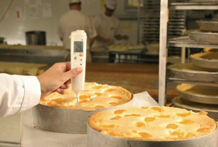 Измеритель температуры погружной Testo 106 (комплект) [0563 1063]