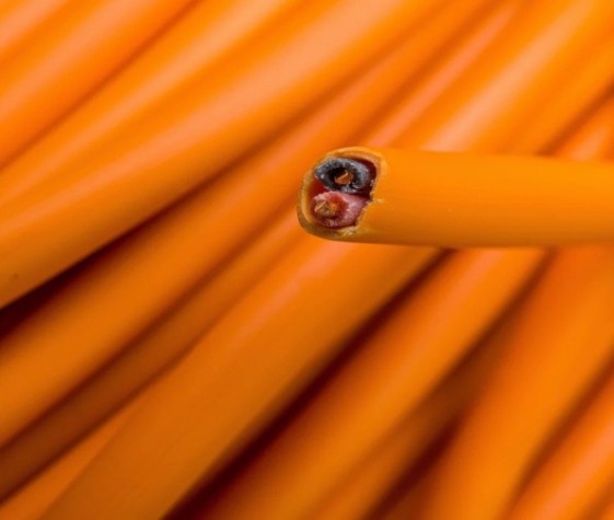 Кабель REXANT 01-4902 КПСнг(A)-FRLS 1x2x0,50мм², 200м (ТОП-1) Кабель REXANT 01-4902 КПСнг(A)-FRLS 1x2x0,50мм², 200м (ТОП-1)