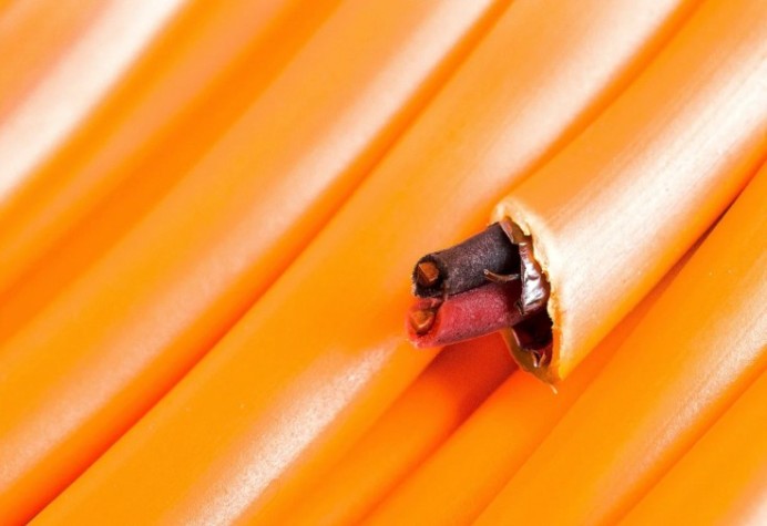 Кабель REXANT 01-4903-1 КПСЭнг(A)-FRLS 1x2x0,75мм², 200м (ТОП-3) Кабель REXANT 01-4903-1 КПСЭнг(A)-FRLS 1x2x0,75мм², 200м (ТОП-3)