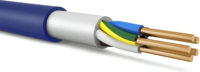 Кабель силовой Русский Свет ВВГнг(А)-LS 5х2.5 ОК (N PE) 100м [ЭК000093580]